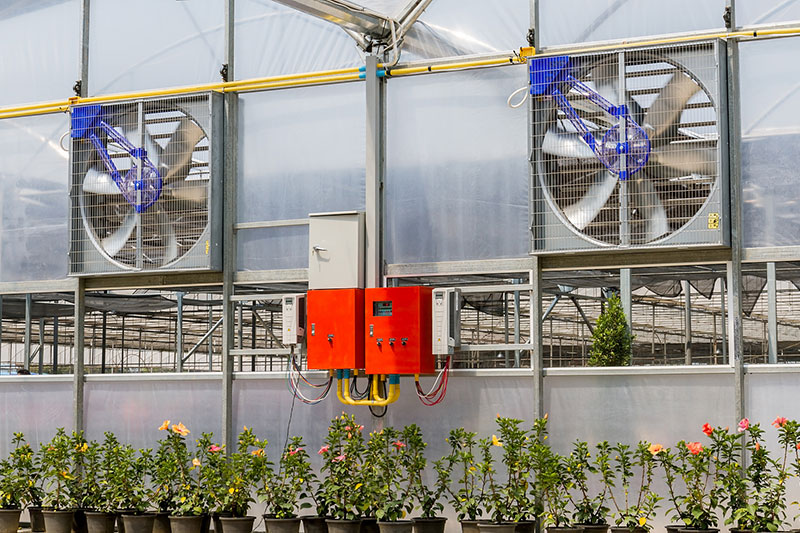 2MW-BF8GG Gas Generator Set Power Generation in Greenhouse